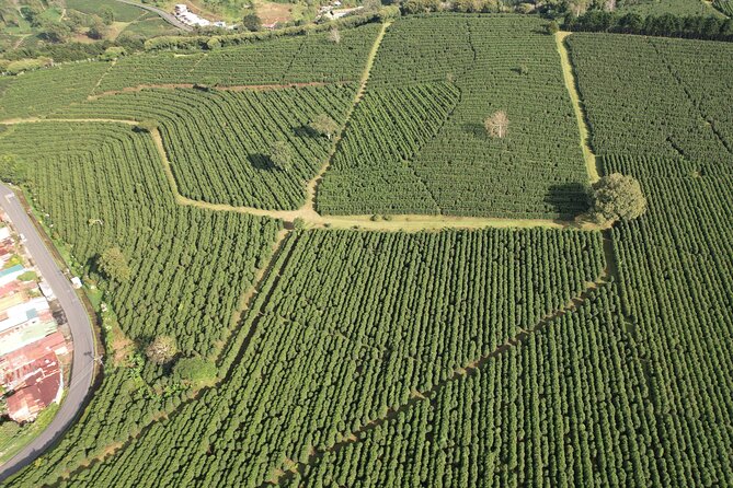 Poás Volcano With Coffee Tour From San Jose Costa Rica - Inclusions and Amenities
