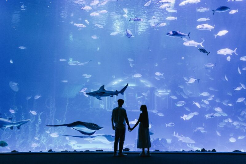 Poem of the Sea Skip-the-Line Ticket - Immersive Underwater Experiences
