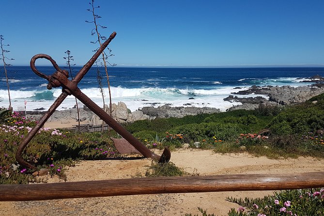 Poetry and Wines: Isla Negra and Undurraga Vineyard - Exploring the Undurraga Vineyard