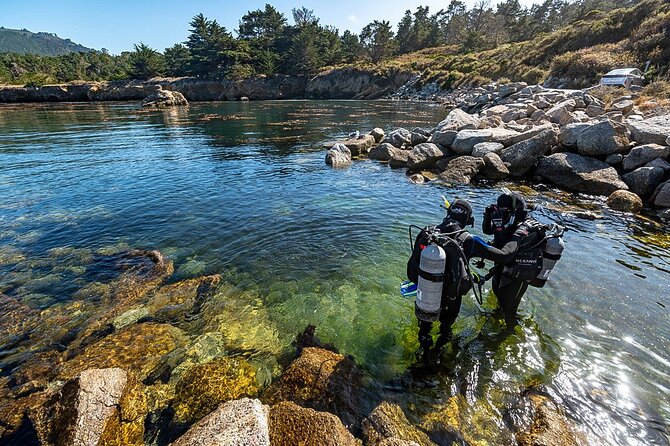 Point Lobos - A Private Charming Ocean Tour - Tour Details
