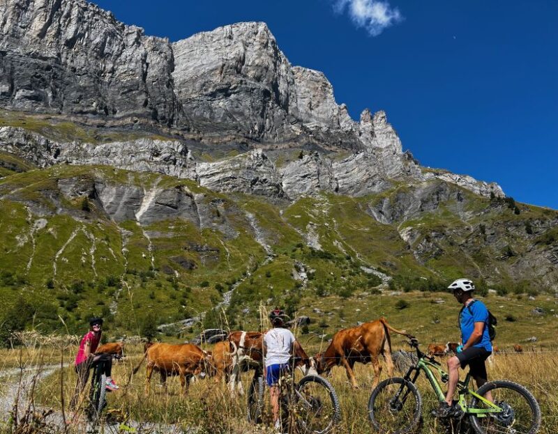 Point of View on the Glaciers of Chamonix by Ebike - Participant Requirements