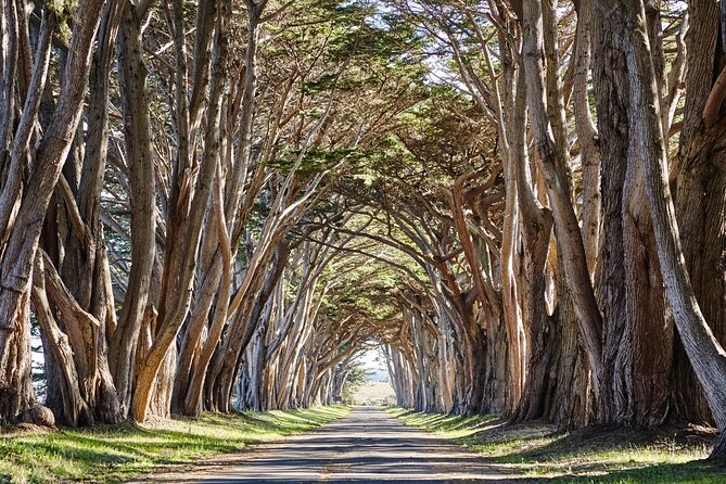 Point Reyes National Seashore Self Guided Driving Audio Tour - Pricing and Booking Details