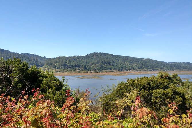Point Reyes National Seashore Self Guided Driving Audio Tour - Starting and Navigating the Experience