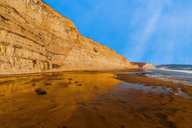 Point Reyes National Seashore Self Guided Driving Audio Tour - User Feedback and Insights