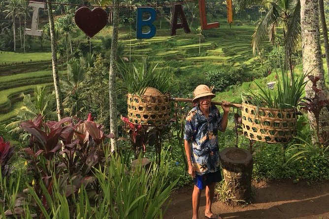 Point View of Kintamani Vulcano and Ubud Tour - Highlights and Attractions