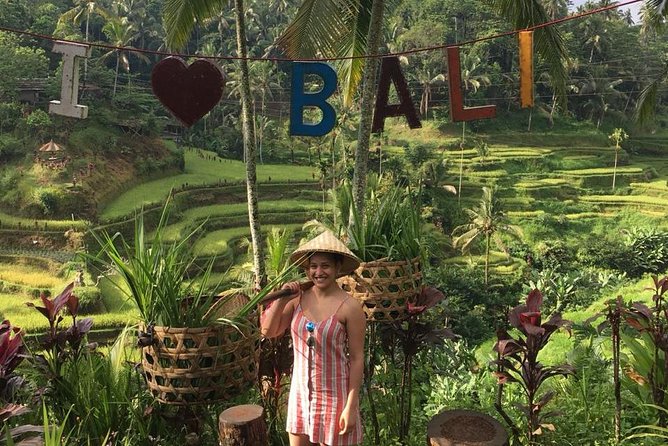 Point View of Kintamani Vulcano and Ubud Tour - Inclusions and Pricing