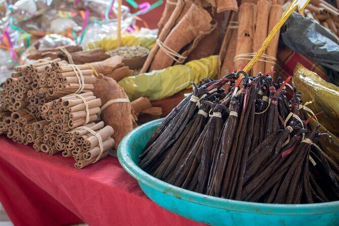 Pointe à Pitre City Tour, Island Stopover, and Beach Breaks - Who Should Consider This Tour?