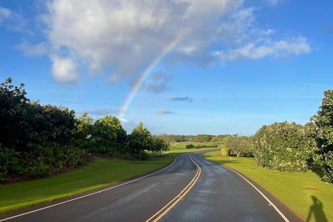 Poipu and Koloa E-Bike Scenic Tour - Tour Accessibility