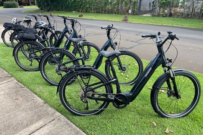 Poipu and Koloa E-Bike Scenic Tour - Physical Fitness Requirements