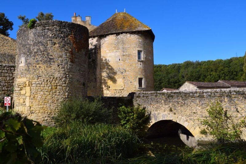 Poitiers and Its Region: Castle Tour (Driver + Souvenir + Wine) - Available Languages and Group Type
