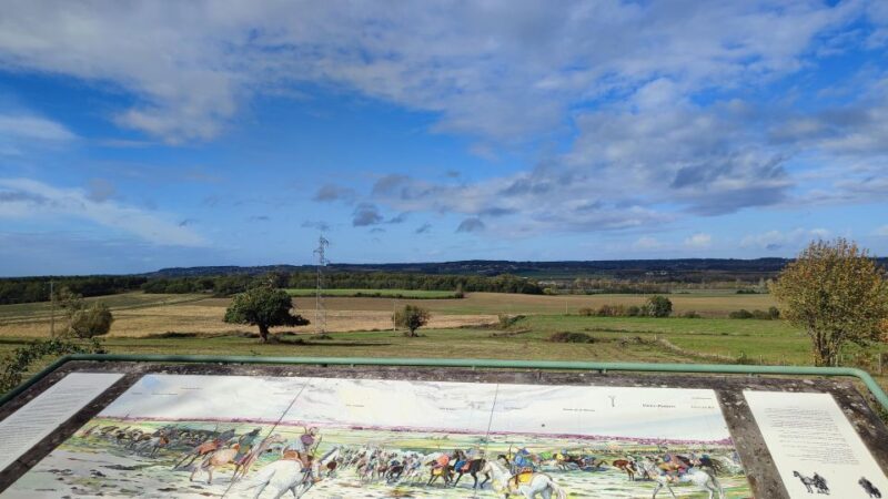 Poitiers and Its Region: Castle Tour (Driver + Souvenir + Wine) - Chauvigny: 5-Castle City