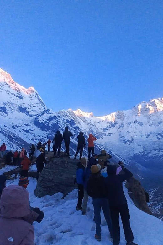 Pokhara: 10 Days Annapurna Base Camp Trek - Trekking Route and Experience