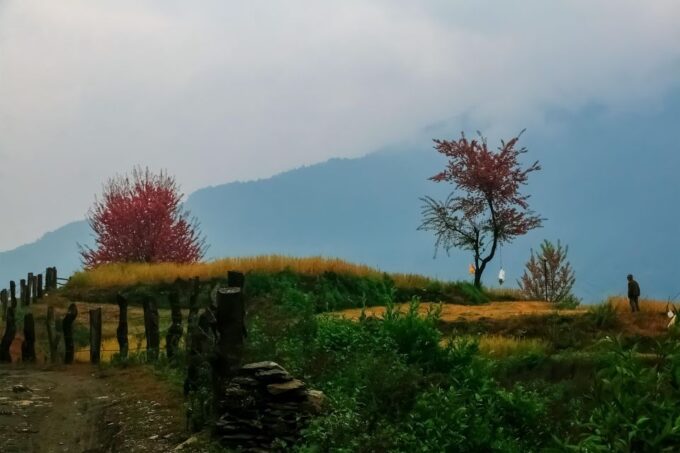 Pokhara: 2-Day Australian Camp and Dhampus Guided Hike - Frequently Asked Questions