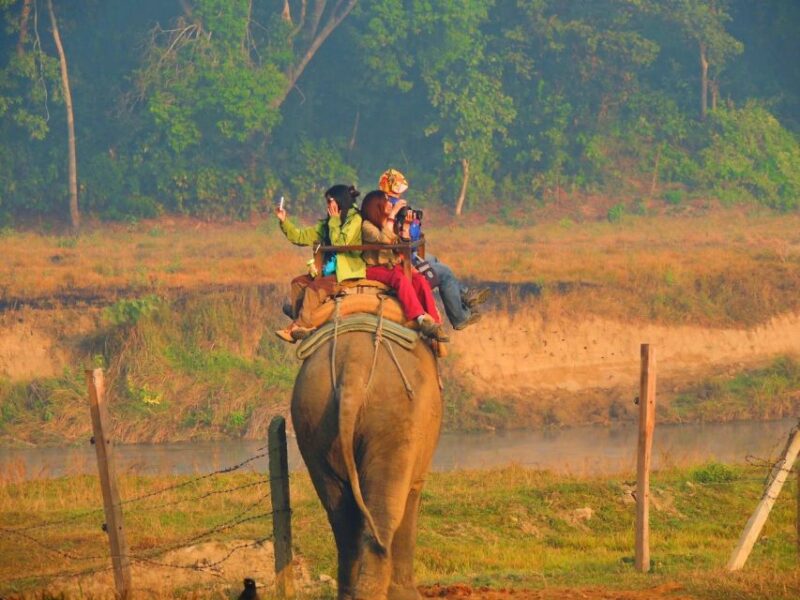 Pokhara: 3-Day Culture Wildlife and Jungle Safari Experience - Itinerary Highlights