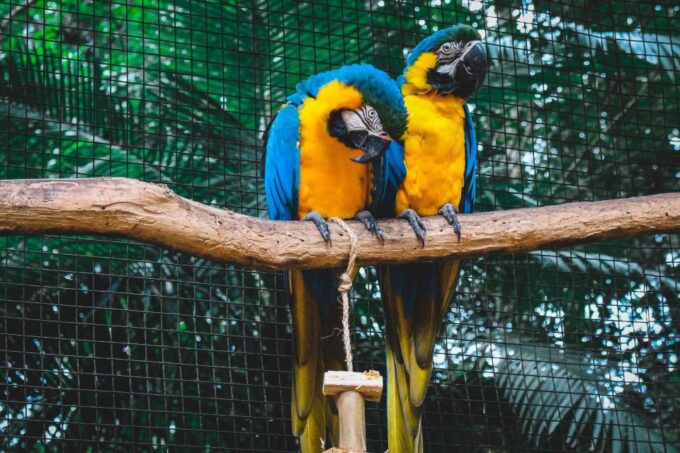 Pokhara: 3-Day Culture Wildlife and Jungle Safari Experience - Exclusions and Fees