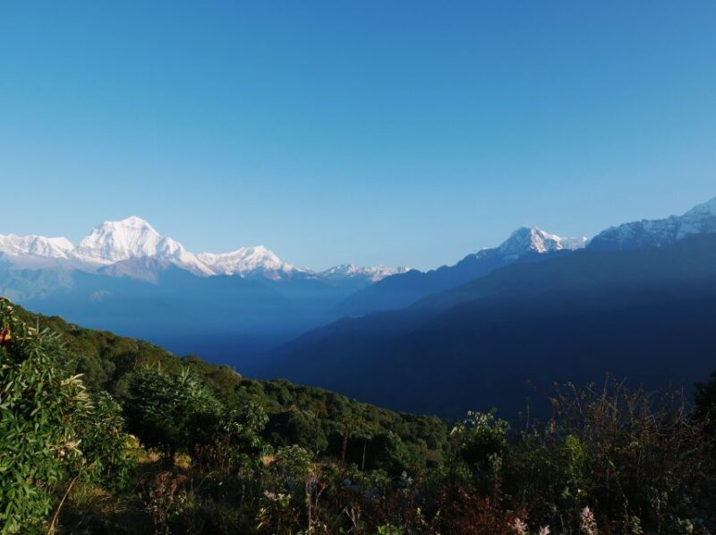 Pokhara: 3-Day Ghorepani and Poon Hill Trek - Guides and Porters