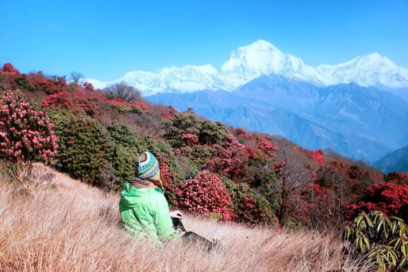 Pokhara: 3-Day Ghorepani, Poonhill & Ghandruk Circuit Trek - Cancellation and Booking Policies
