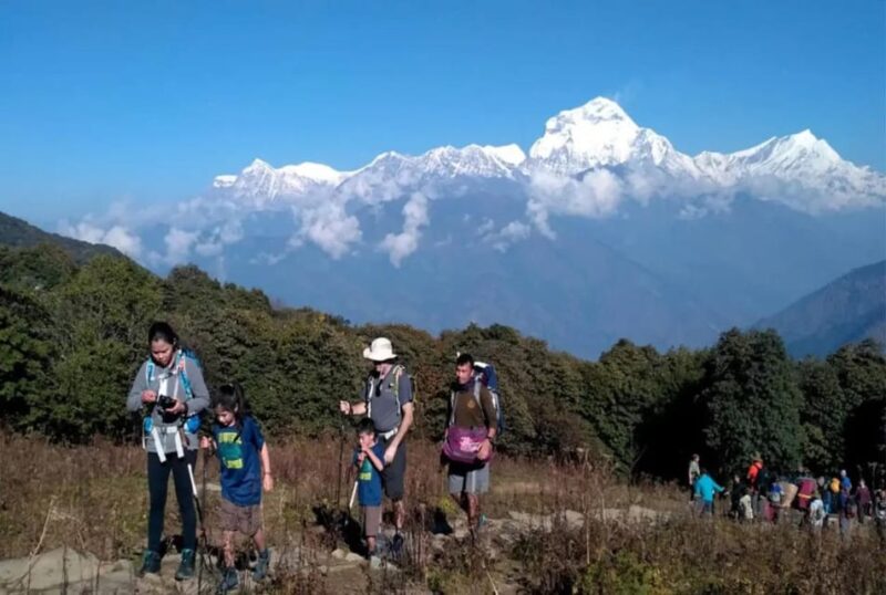 Pokhara: 3-Day Ghorepani, Poonhill & Ghandruk Circuit Trek - Important Information and Recommendations
