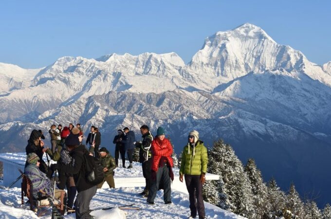 Pokhara: 3-Day Ghorepani, Poonhill & Ghandruk Circuit Trek - Lush Rhododendron Forests