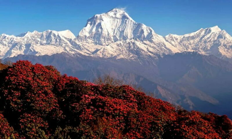 Pokhara: 3-Day Ghorephani and Poon Hill Private Trek - FAQs