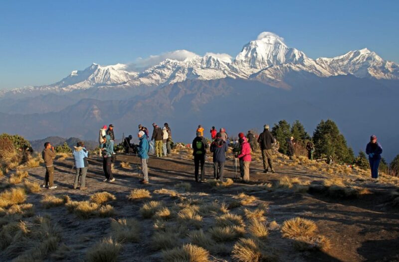 Pokhara: 3-Day Ghorephani & PoonHill Himalayan Paradise Trek - Scenic Landscapes and Iconic Peaks