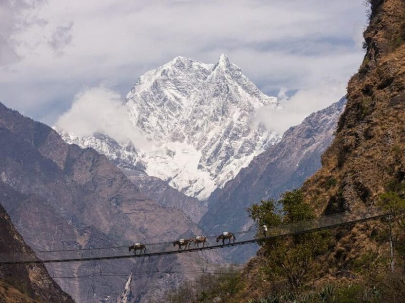 Pokhara: 3-Day Poonhill & Mustang Himalayan Adventure Tour - Pickup and Drop-off