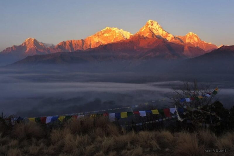 Pokhara: 3-Day Poonhill & Mustang Himalayan Adventure Tour - Cancellation Policy