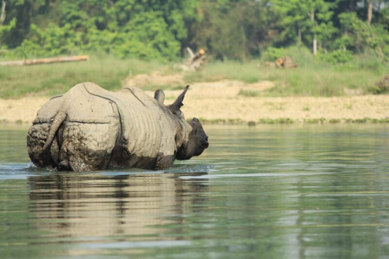Pokhara : 4 Day Lumbini and Chitwan Safari Tour By Car - Key Attractions