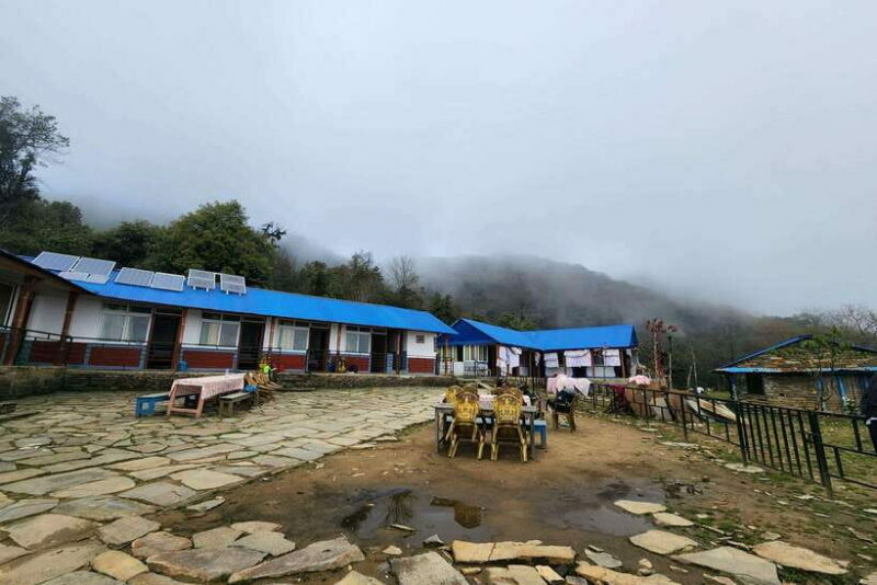 Pokhara: 4-Day Mardi Himal Trek - Guest Experiences & Authentic Moments