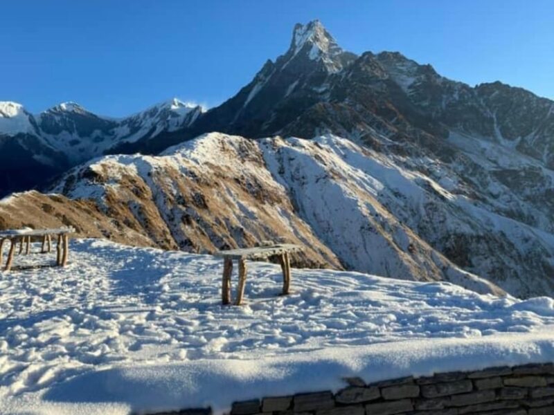 Pokhara: 4-Day Mesmerizing Mardi Himal Guided Trek - Accommodations and Catering