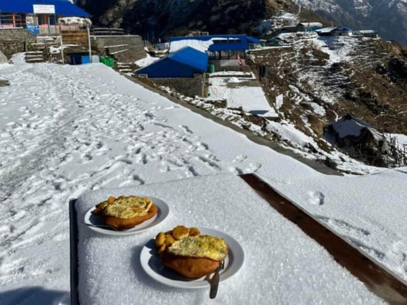 Pokhara: 4-Day Mesmerizing Mardi Himal Guided Trek - Transportation and Logistics