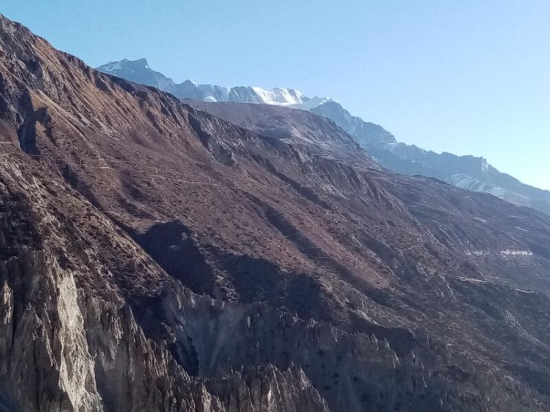 Pokhara: 4 Day Mulde View Point With Poon Hill Trek - Trek Through Rhododendron Forests