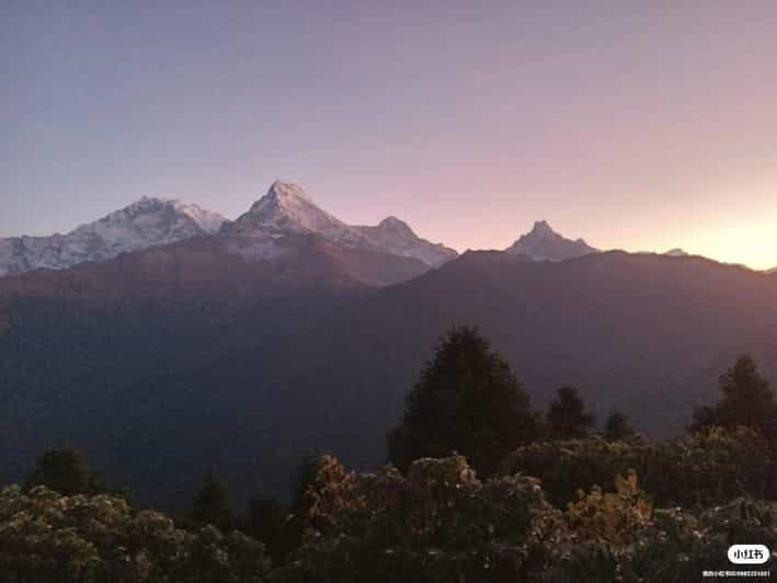 Pokhara: 4-Day Poon Hill Guided Trek via Ghandruk. - Guide and Safety
