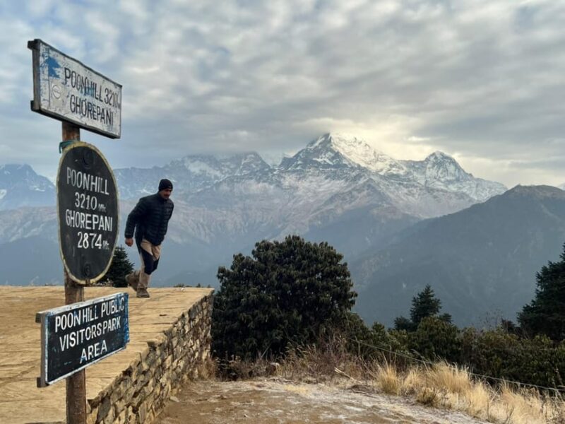 Pokhara: 4 Day Poon Hill Trek and Jhinu Hot Springs Trek - Itinerary Highlights
