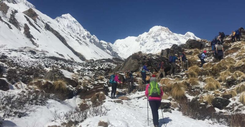 Pokhara: 4-Day Poon Hill Trek With Accommodation - Accommodation and Meals