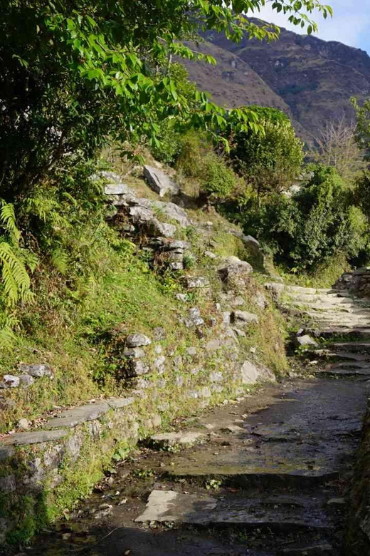 Pokhara: 4-Day Poon Hill Trek With Accommodation - Transfer and Logistics