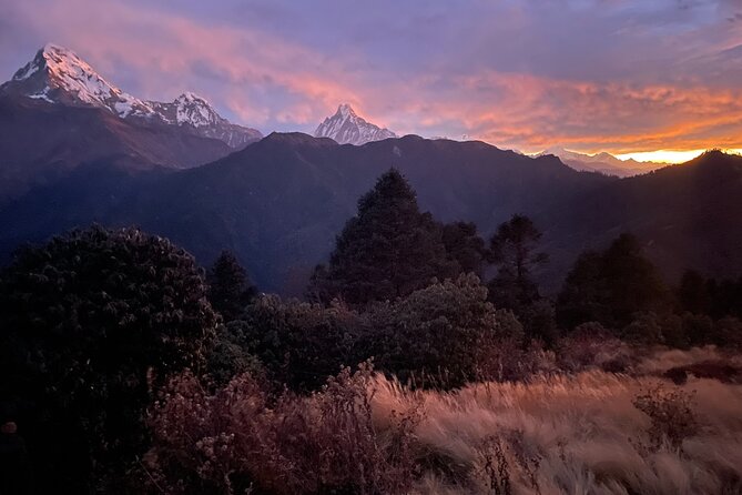 Pokhara: 4 Days Poon Hill and Ghandruk Trek - Destination: Pokhara, Nepal