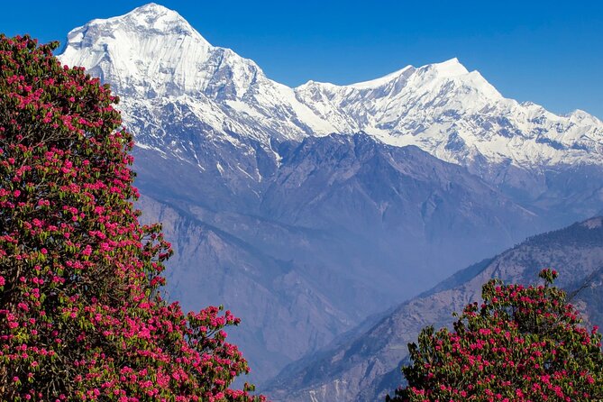 Pokhara: 4 Days Poon Hill and Ghandruk Trek - Inclusions and Logistics