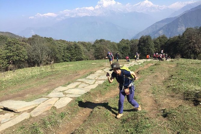 Pokhara: 4 Days Poon Hill - Ghandruk Village Trek - Exploration of Rural Villages