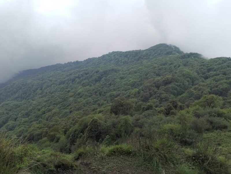Pokhara: 5 Day Mardi Himal Base Camp, Bird Watching Trek - Important Information
