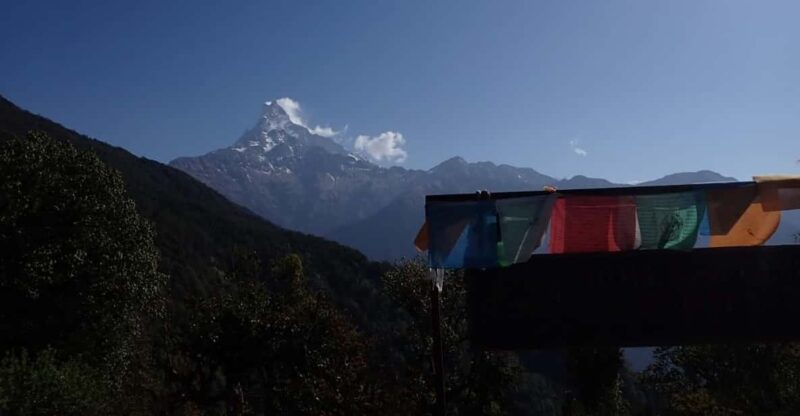 Pokhara: 5-Day Mardi Himal Base Camp Trek With Transfers - Itinerary Details