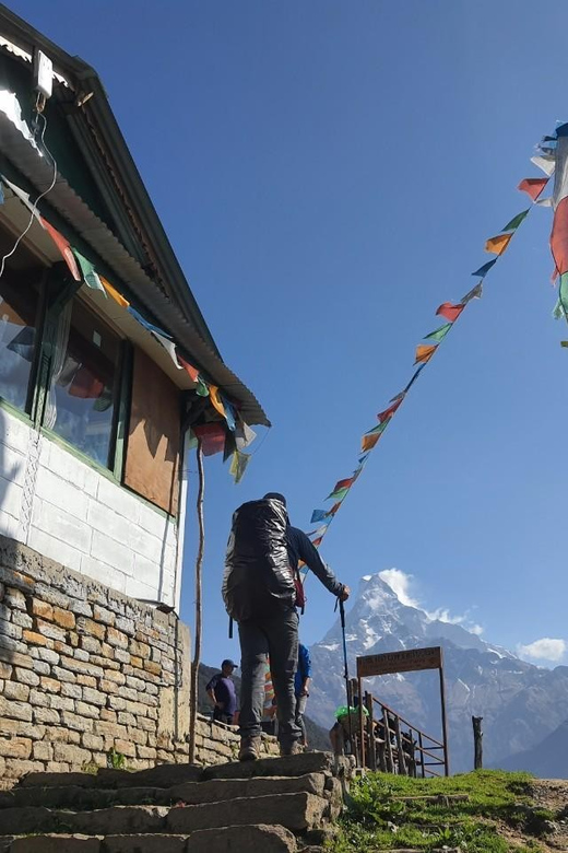 Pokhara: 5-Day Mardi Himal Base Camp Trek With Transfers - Transport and Accommodation