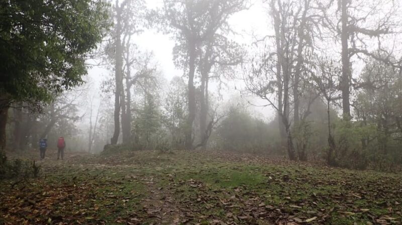 Pokhara: 5-Day Mardi Himal Base Camp Trek With Transfers - Trekking Guide and Permits
