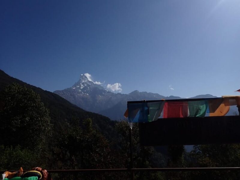 Pokhara: 5-Day Mardi Himal Base Camp Trek With Transfers - Suitability and Requirements