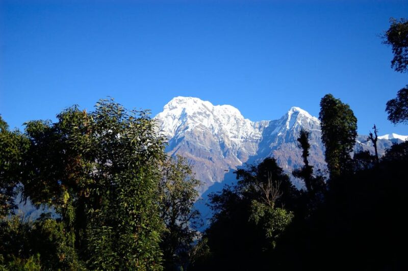 Pokhara:- 5 Days/4 Nights Mardi Himal Base Camp Trek - Included Services