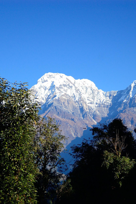 Pokhara:- 5 Days/4 Nights Mardi Himal Base Camp Trek - Tipping Expectations