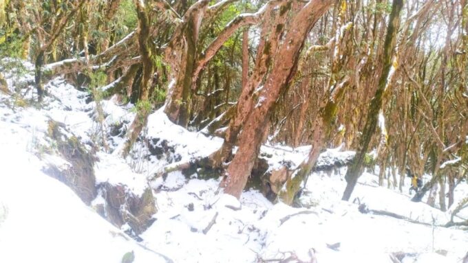 Pokhara: 6 Day Amazing 3 Hill Trek(Mohare,Poon Hill & Mulde) - Safety and Insurance