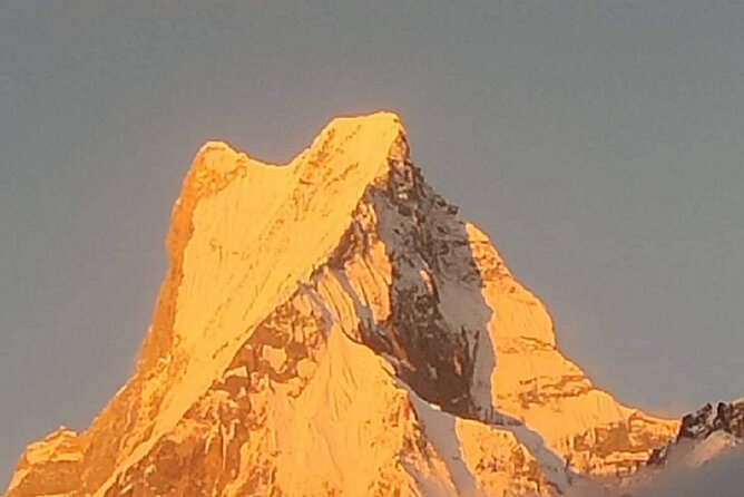 Pokhara: 7-Day 6-Night Annapurna Himalayas Base Camp Trek - About the Operator