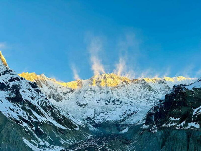 Pokhara: 7 Day Annapurna Base Camp Trek with Wildlife Tour - Wildlife Safari and Chitwan Experience