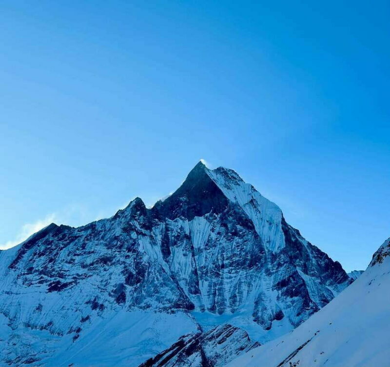 Pokhara: 7 Day Annapurna Base Camp Trek with Wildlife Tour - Who Should Consider This Tour?